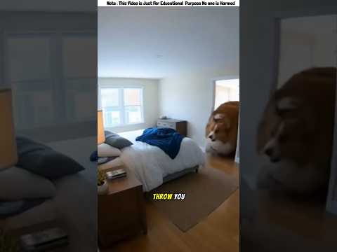 Crazy Tommy Breaks the Wall😱 #shorts #funny