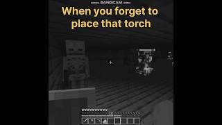 When you forget to place that torch 😂😂#shorts#minecraft #funny