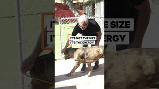 It's Not the Size, It's the Energy | Life at the Ranch