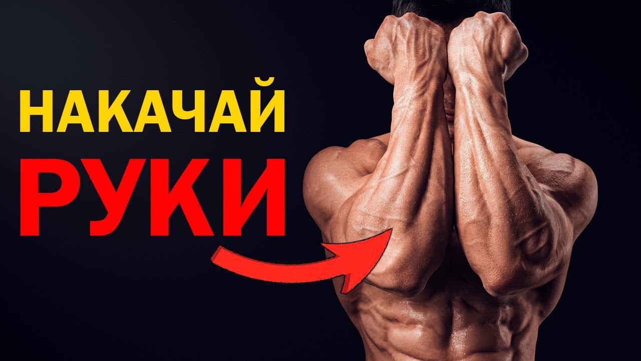 Как накачать руки (бицепс и предплечье)