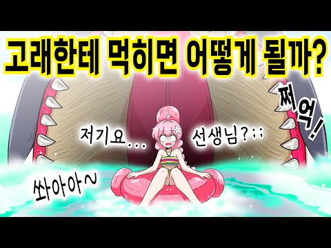 사람이 고래한테 먹히면 어떻게 될까? [해피 시즈닝 아카데미]