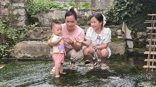 Growing Corn - Making Wine | A Peaceful Life With Parents in The Countryside | Lý Thị Ca