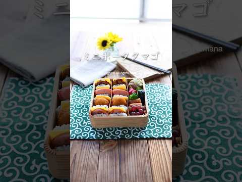 キャプションはコメント欄を見てね😊#shorts #おにぎり弁当