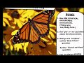 Dichotomous Key Characteristics and Usage