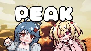 【 PEAK / ディスグラ登山部 】ほゃと山登りする枠があるらしい【はぐみぃ/VTuber】