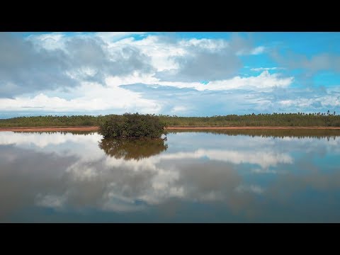 What to see in Mitiaro | The Cook Islands