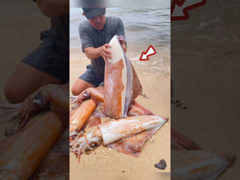 This Man Caught A Big Squid Fish