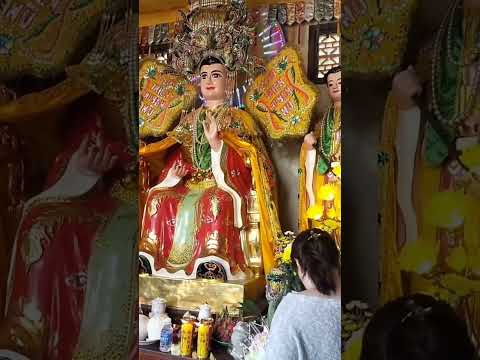 TỰ CẢM NHẬN BÌNH YÊN