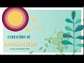 Photosynthesis Concepts and Mechanisms