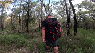 Hiking trail, spiders & flies everywhere - happy new year 🥳 