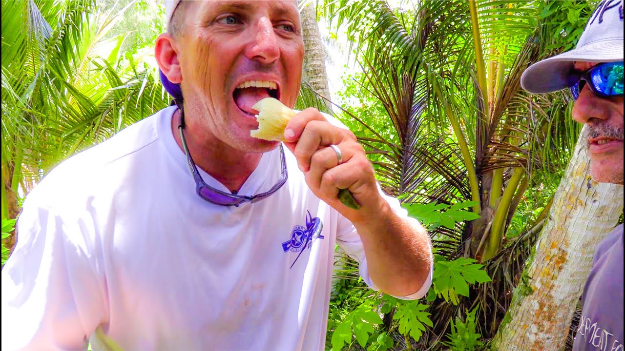THE ULTIMATE SURVIVAL FOOD! Catch Clean Cook The Tree Of LIFE!