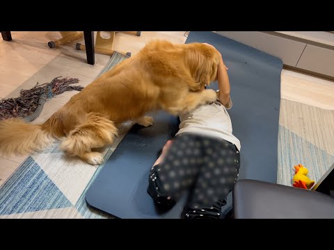ついに我慢できなくなって、ママに襲い掛かるデッカい愛犬