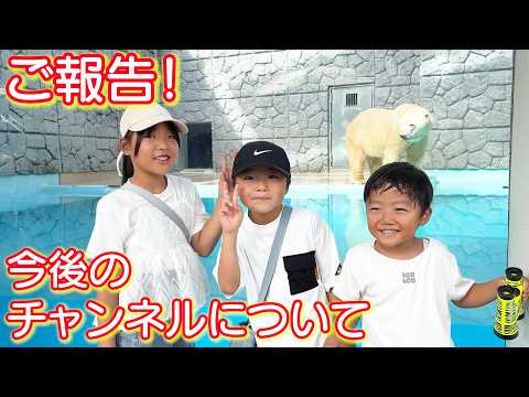 いつも応援してくださる皆様へ【今後の活動と動画整理について】