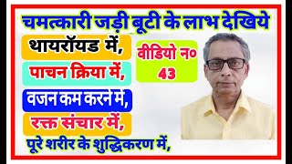A Miracle Herb That Heals Every Disease (चमत्कारी जड़ी बूटी जो हर रोग में मदद करती है)