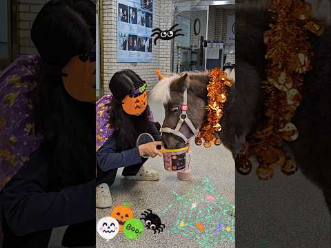 🧛♀️ 해피 할로윈 Wally~!!🎃 TrickOrTreat 🦄🍬