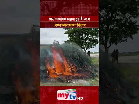 দেড় শতাধিক চায়না দুয়ারী জাল ধ্বং'স করল মৎস্য বিভাগ | Mytv #shorts