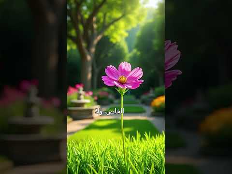 قصة الزهرة الصغيرة: سر الجمال الحقيقي الذي لا يراه الجميع! 🌸✨#حكم#موعظة#عبرة