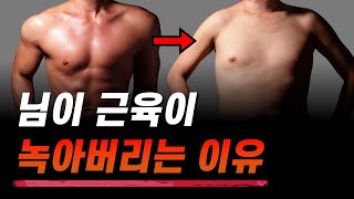 님이 운동해도 근육 안생기고 근손실 오지게 나는 이유