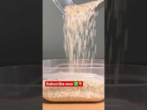 Pouring Sesame Seeds into a Plastic Box Sound Effect Stereo HQ 96kHz #sesameseed #soundeffect