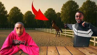 horse house || አትቀርጽም አሉ😐😢