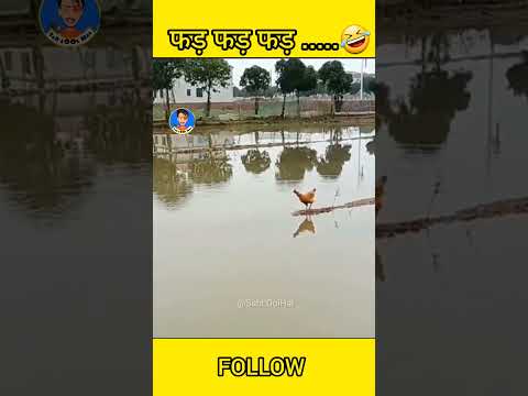 Fadd Fadd Fadd || Sab LOol Hai #funny #sabloolhai
