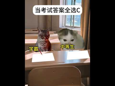 猫の動画サムネイル - 当考试答案全选c时 #有趣 #猫meme #猫meme剧场 #内容过于真实  #故事 #貓 #猫猫meme小剧场 #喵不可言