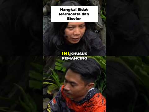 REVIEW HASIL TANGKAPAN #sidatraksasa #review #dedeinoen
