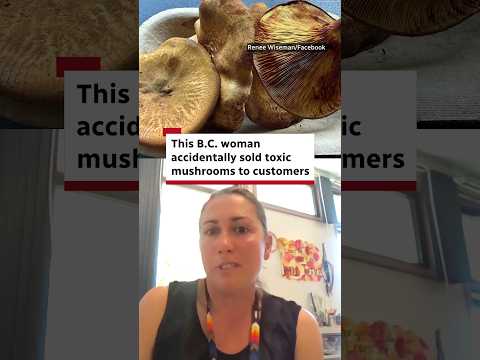 This B.C. woman accidentally sold toxic mushrooms to customers