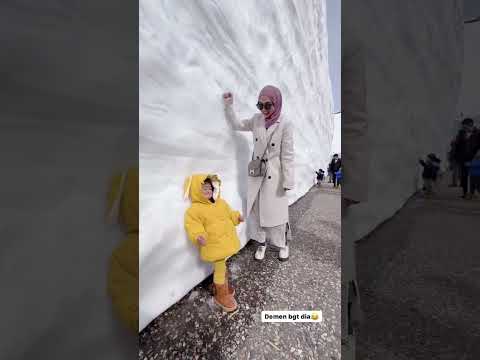 Moana Paling Demen di Hujanin Salju 😅