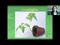 Plant Adaptations and Responses