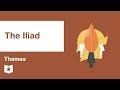 Themes and Choices in the Iliad