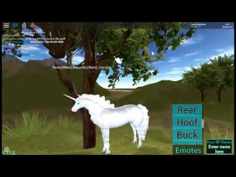 Free Roblox Codes For Horse World 07 2021 - horses in the back roblox full