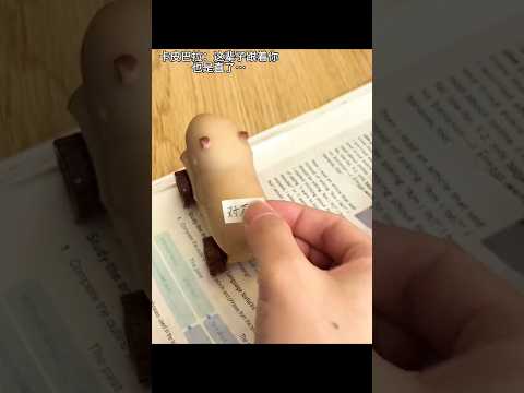 Capybara,gift Idea, gift pack, useful #shorts