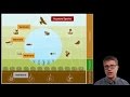 Exploring Ecosystem Interactions and Biomes