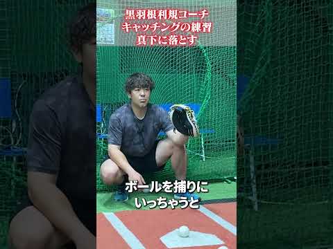 真下に落とすキャッチングの練習🔥 #黒羽根利規  #野球