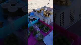 Banyak Buah buah Di Pekan Kota belud