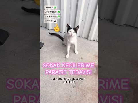 iç dış parazit partisi