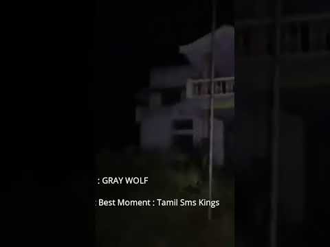 Meera Bungalow | GRAY WOLF Vasu Real Ghost Best Moment😱 in Tamil#graywolf #subscribers #shorts