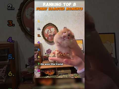 Ranking top hamster fails #shorts