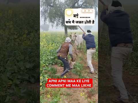 EK MAA APNE BACHCHE KE LIYE KUCH BHI KAR SKTI HAI