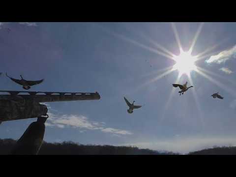 Late Season River Ice Hole Goose Hunts