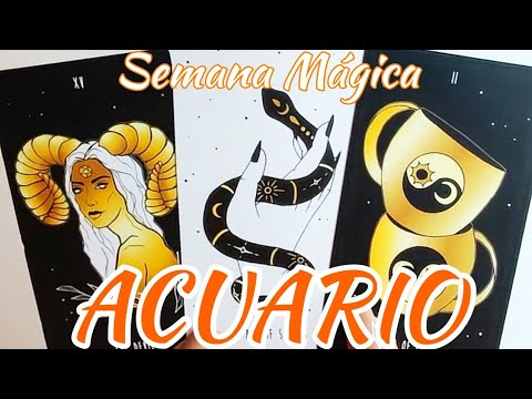 Acuario 🤩 Un Gran SÍ 🎊 Cuídate Mucho de Esta Mujer! Horóscopo Tarot Hoy Noviembre 2024 Amor