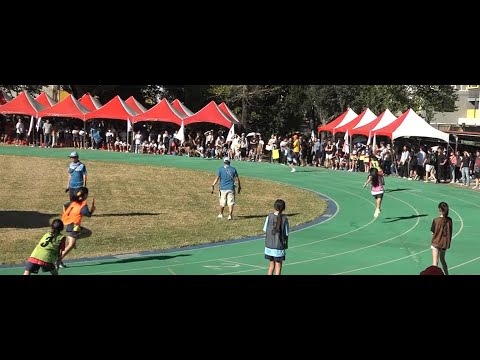 114學年度運動會 pic