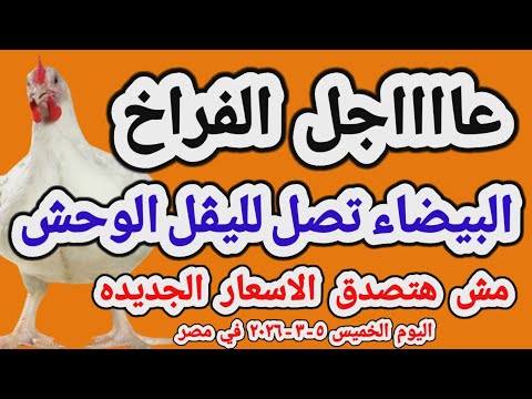 اسعار الفراخ البيضاء اليوم/ سعر الفراخ البيضاء اليوم الخميس 2026/3/5 في مصر