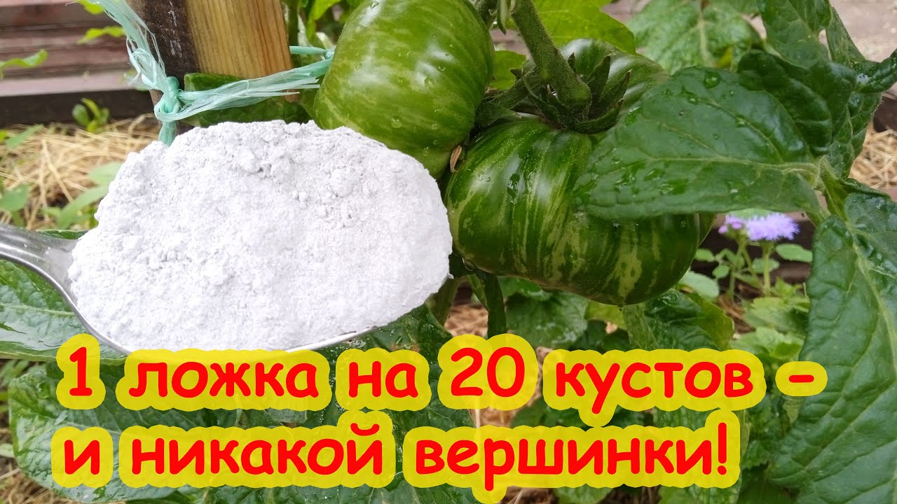 Самый безопасный способ избавиться от вершинки: без селитры, мела, извести, доломитки и золы.