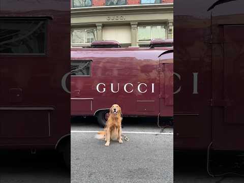 NYC tour with our custom Gucci airstream.