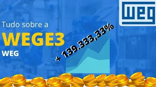 Você conhece essa Empresa? Vídeo institucional da WEGE3.