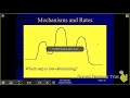 Understanding Reaction Energy Profiles