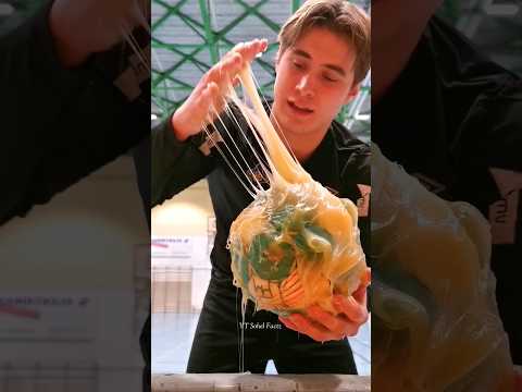 survival skills simple and useful #bushcraft #camping #outdoors