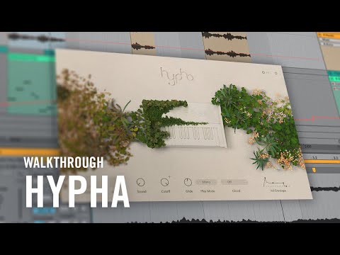 Exploring HYPHA with Red Means Recording | Native Instruments